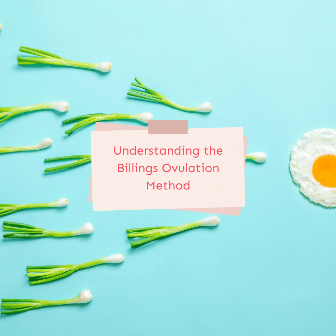 Comprendre la méthode Billings Ovulatin