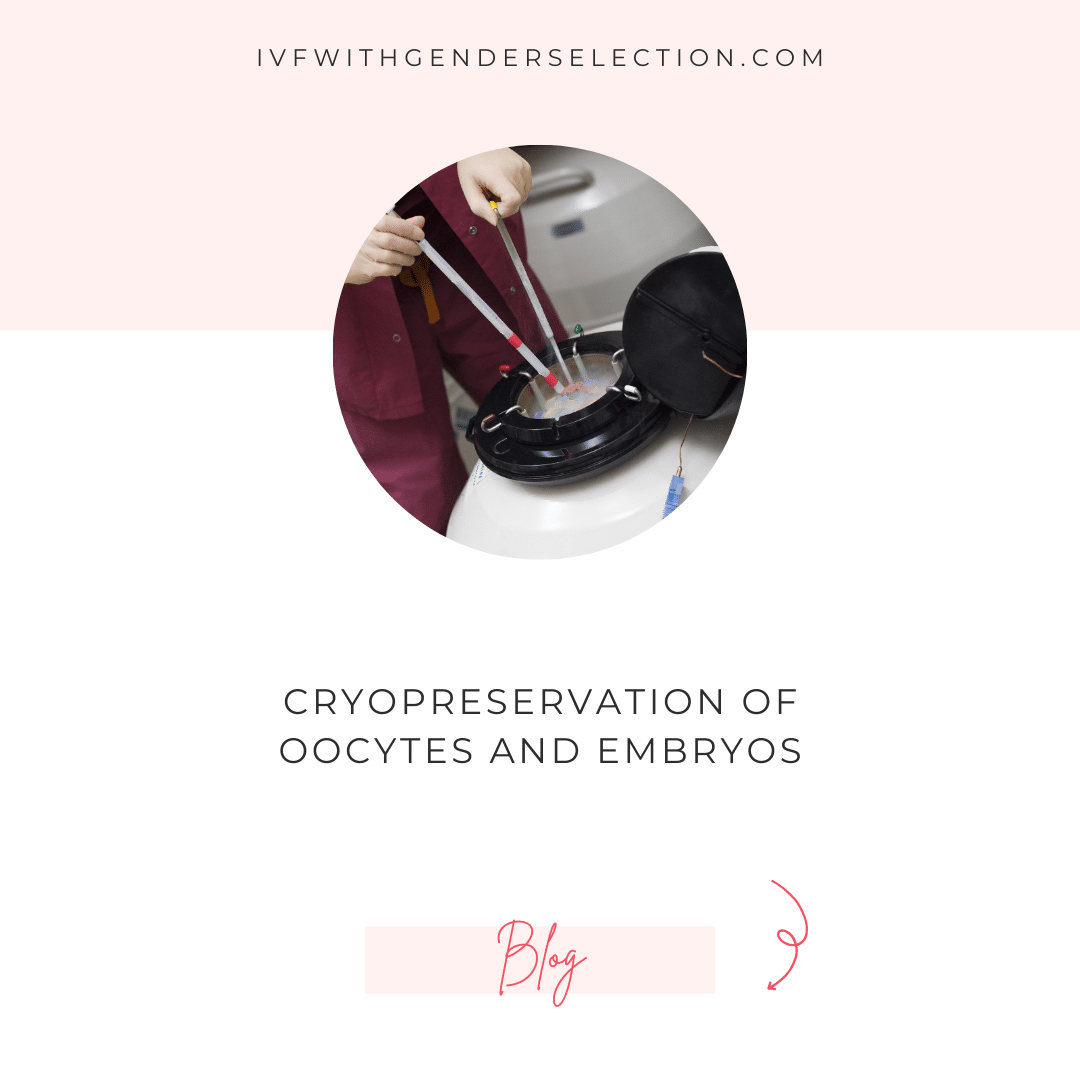Cryoconservation