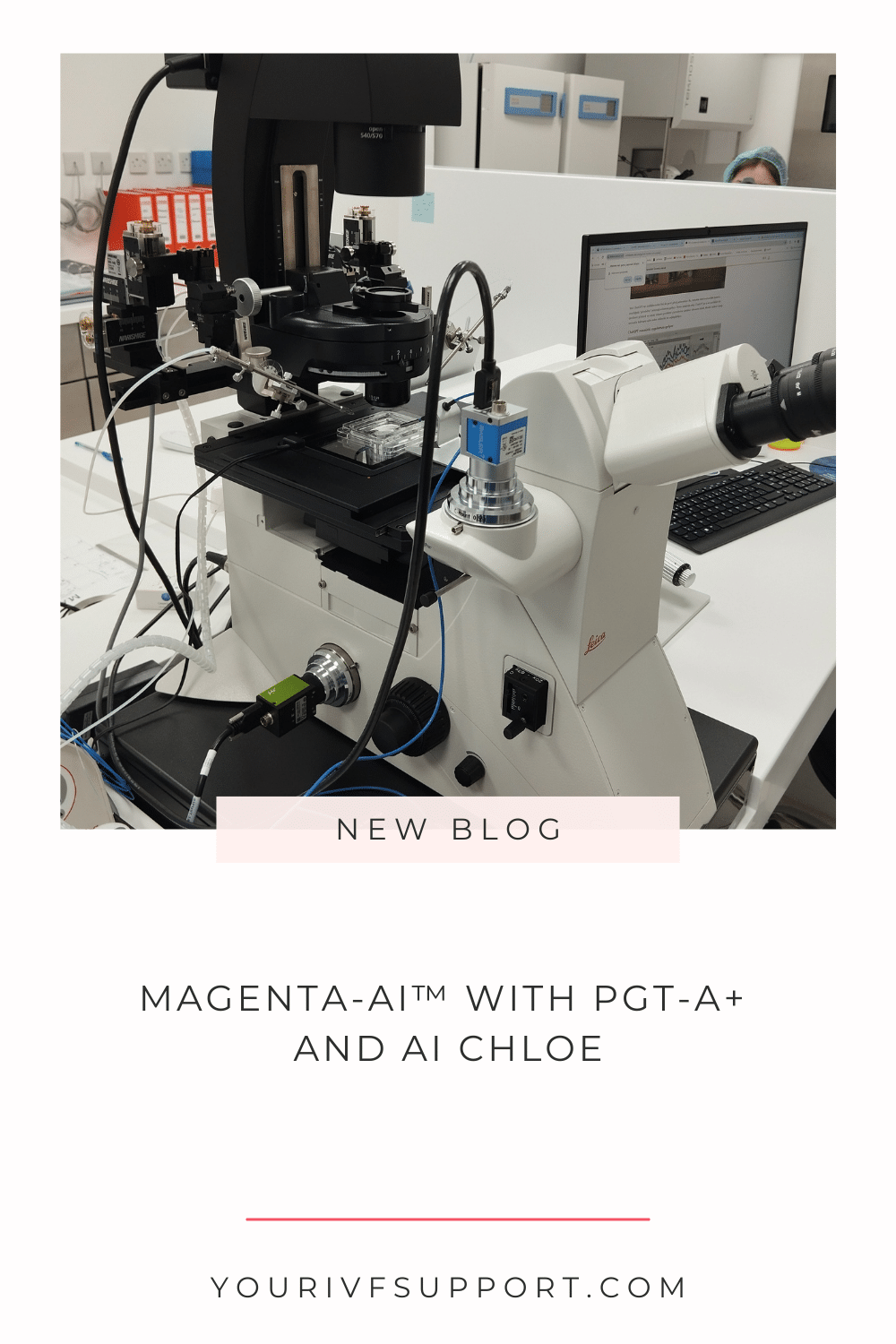 Magenta-AI-TM und AI Chloe von Fairtility TM
