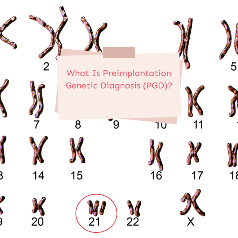Was ist die genetische Präimplantationsdiagnostik (PID)?