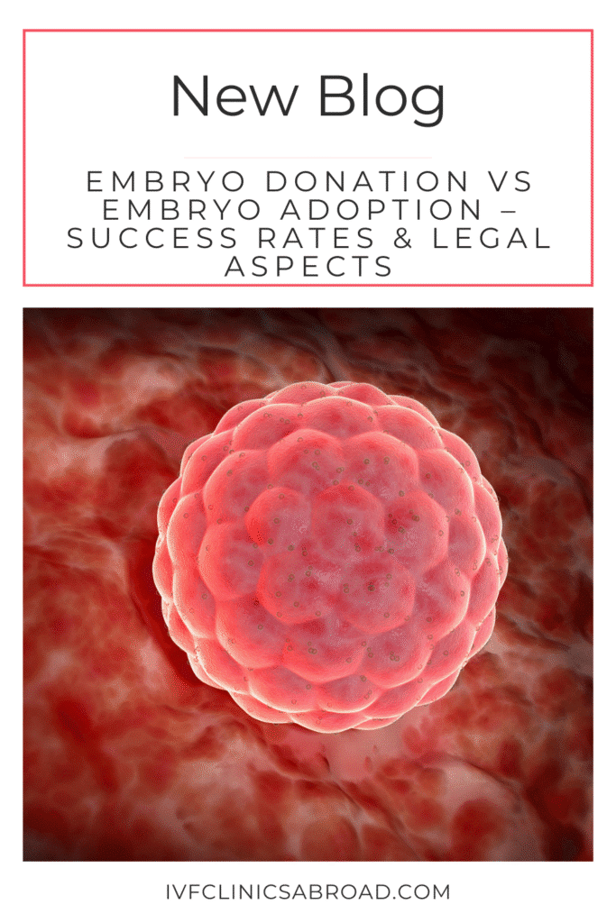 Embryonenspende vs. Embryoadoption