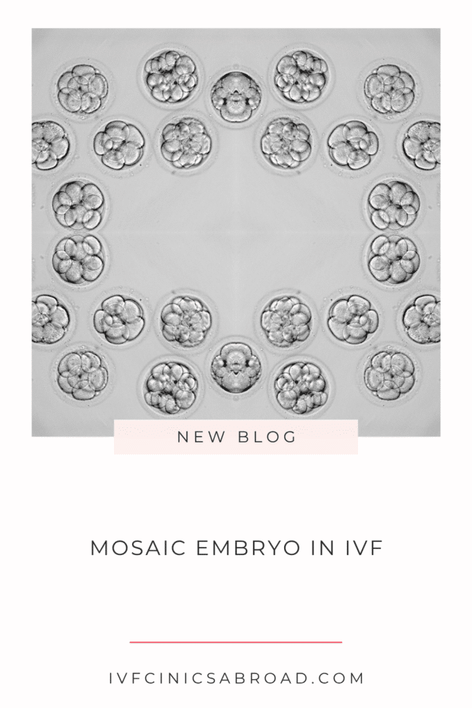 Embryon mosaïque dans la FIV