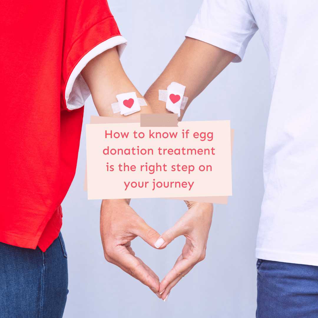 How to know if egg donation treatment is the right step on your journey
