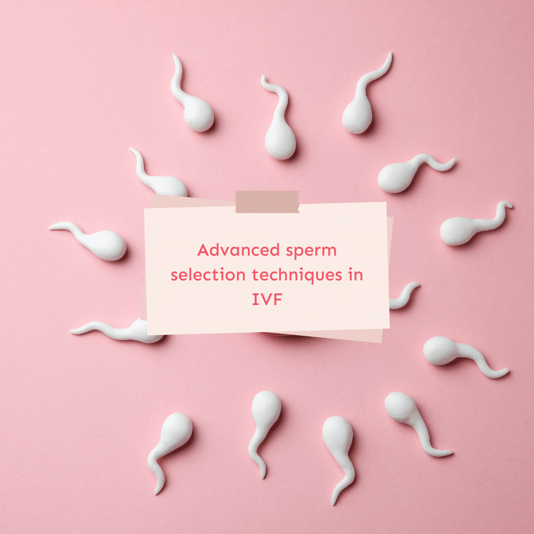 Advanced sperm selection techniques in IVF