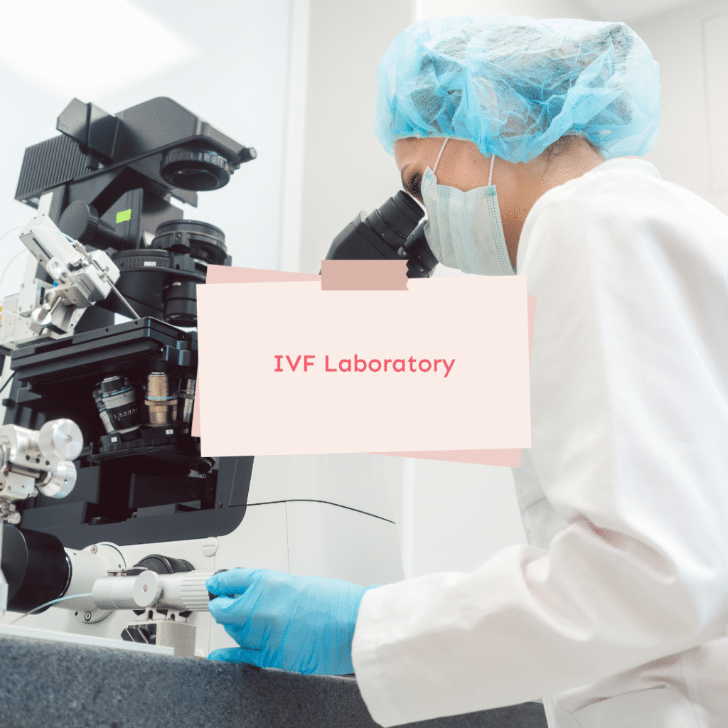 Laboratorio FIV