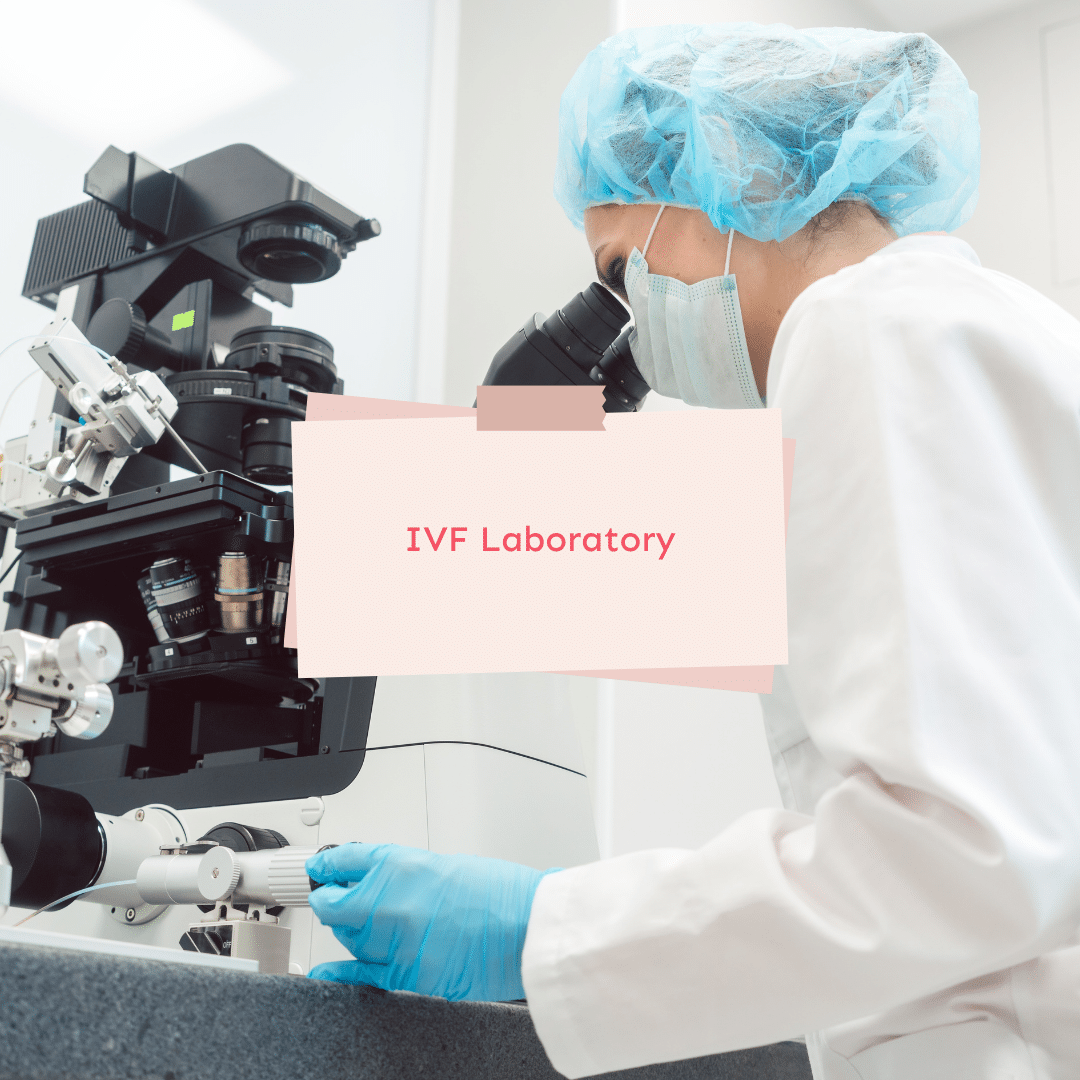 IVF Laboratory