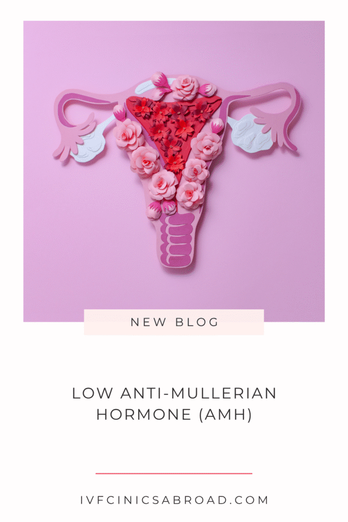 Faible taux d'hormone anti-mullérienne (AMH)