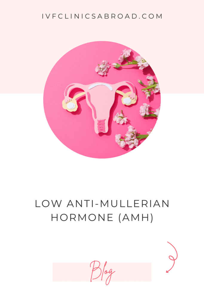 Faible taux d'hormone anti-mullérienne (AMH)
