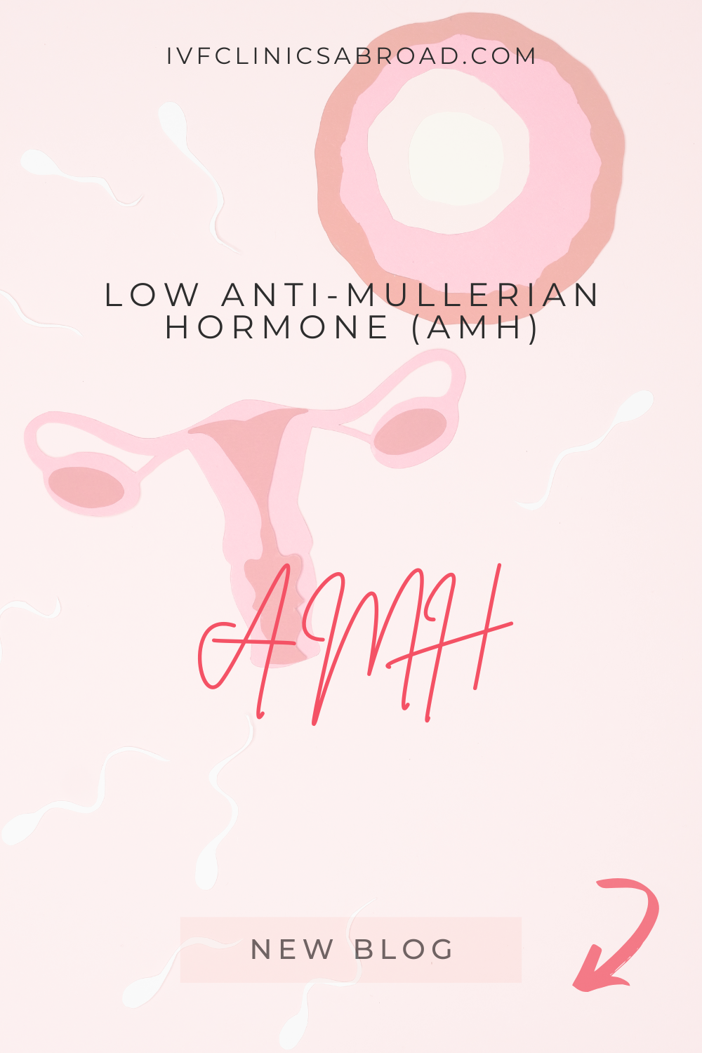 Faible taux d'hormone anti-mullérienne (AMH)