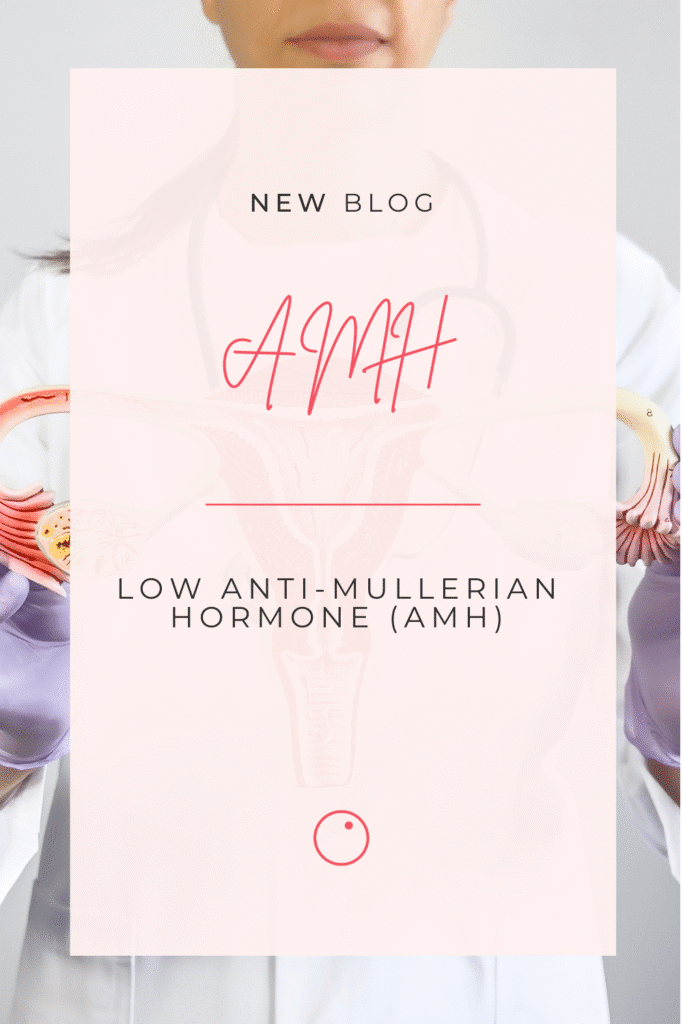 Faible taux d'hormone anti-mullérienne (AMH)