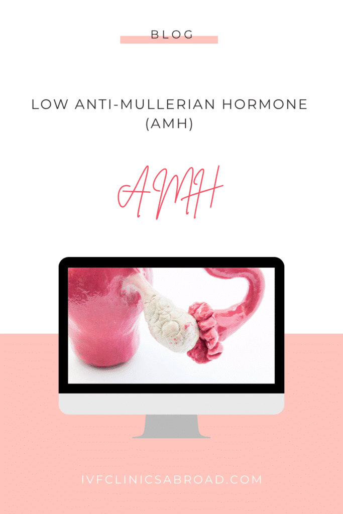 Faible taux d'hormone anti-mullérienne (AMH)
