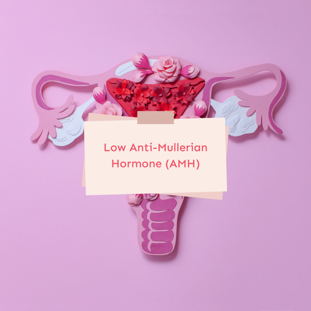 Faible taux d'hormone anti-mullérienne (AMH)