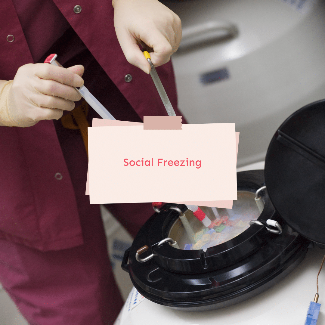 Gel social