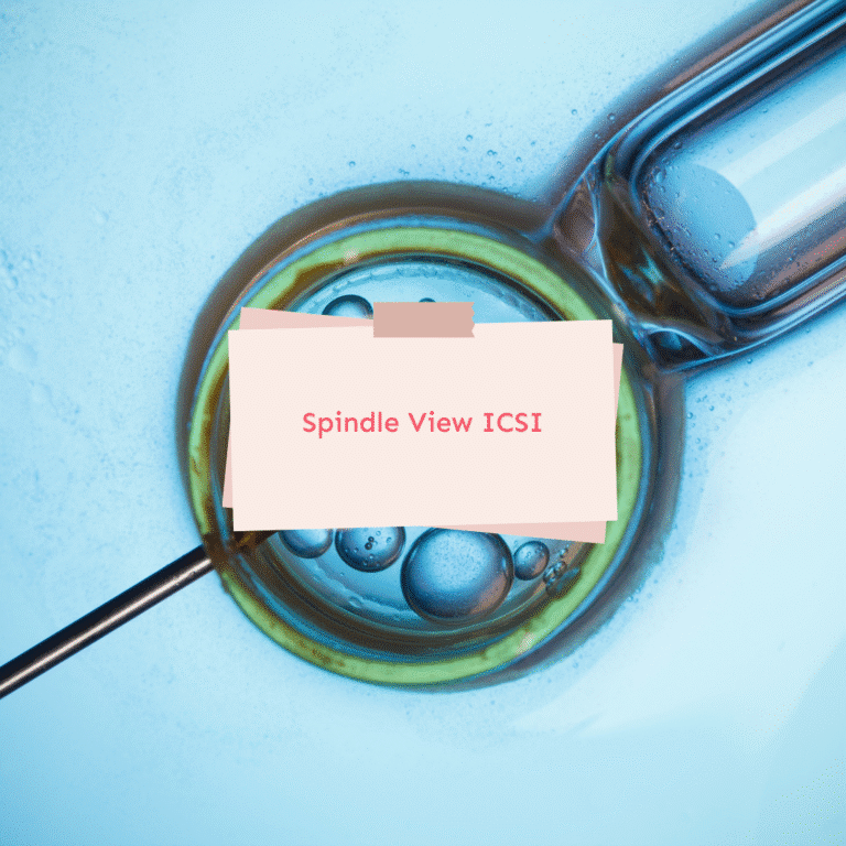 Spindle View ICSI