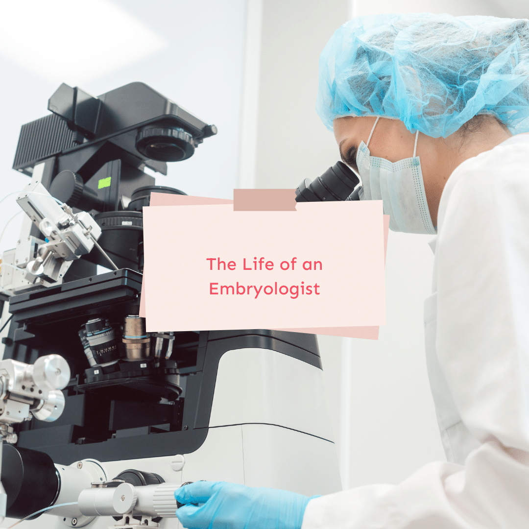 The Life of an Embryologist Understanding Their Vital Role in IVF and Fertility