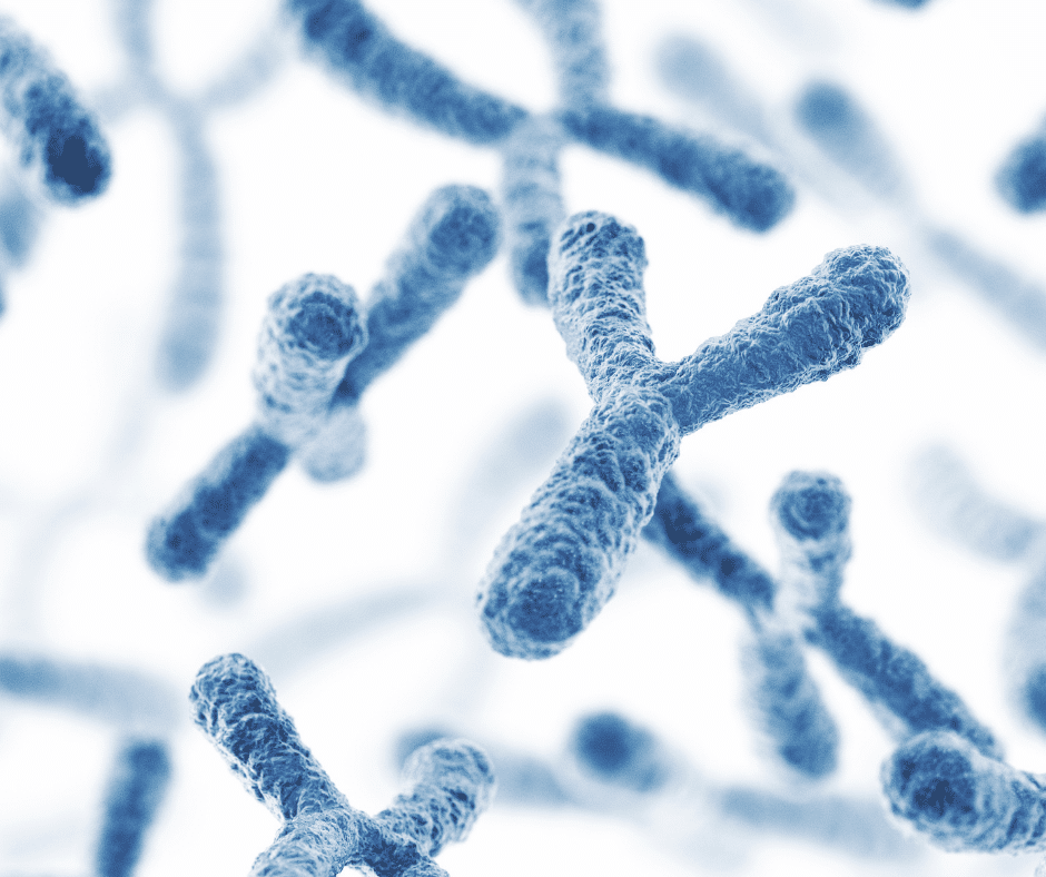 PGD and IVF 1 X and Y